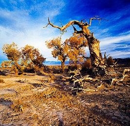 第三人称动作刷宝冒险新游《至高天 Empyreal》现已登陆PC与主机平台